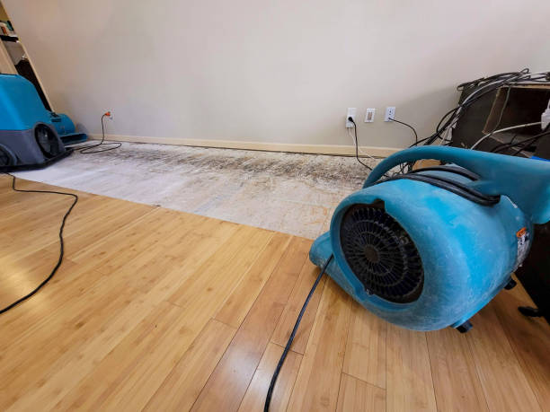Professional Basement Flood Cleanup technician working in Santa Rosa, TX